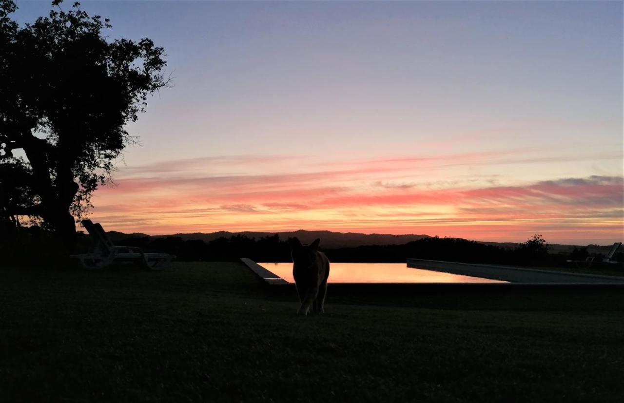 Dias Distintos - Turismo Rural Colos  Luaran gambar